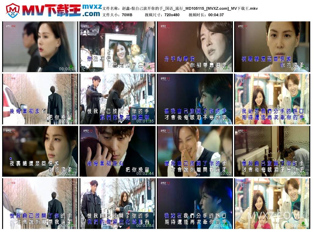 赵鑫-恨自己放开你的手_国语_流行_MD105115